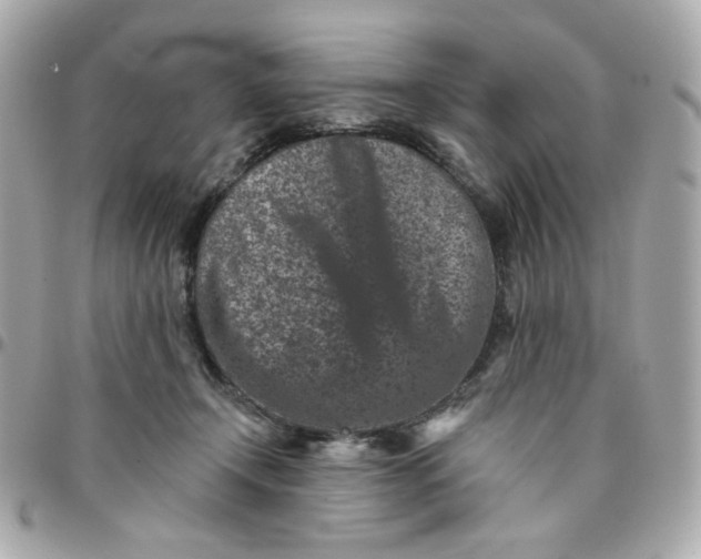 X0000096210366200802011326