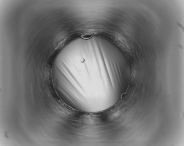 X0000096210367200802011326