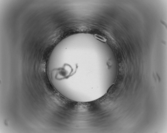 X0000096210368200802011326