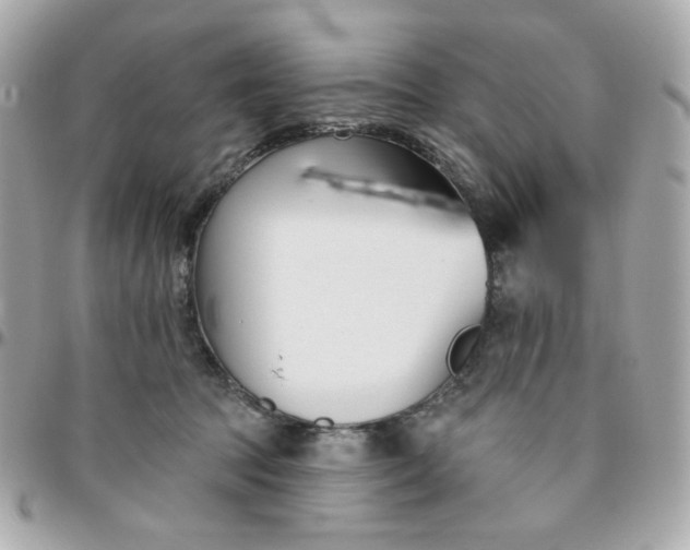 X0000096210369200802011326