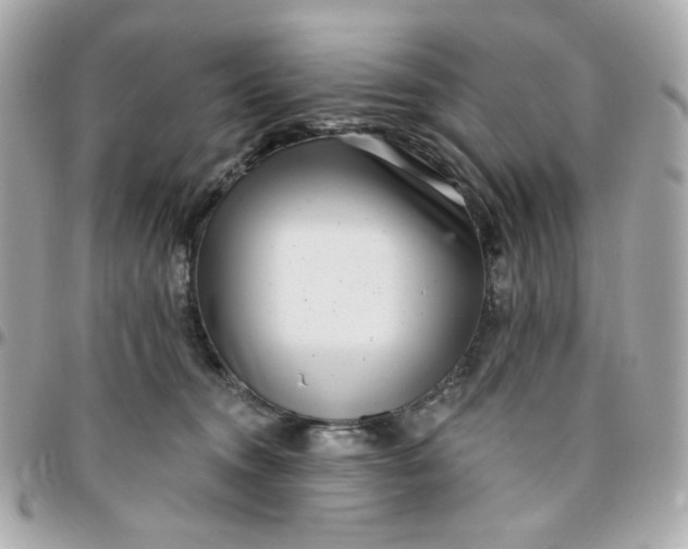 X0000096210372200802011326