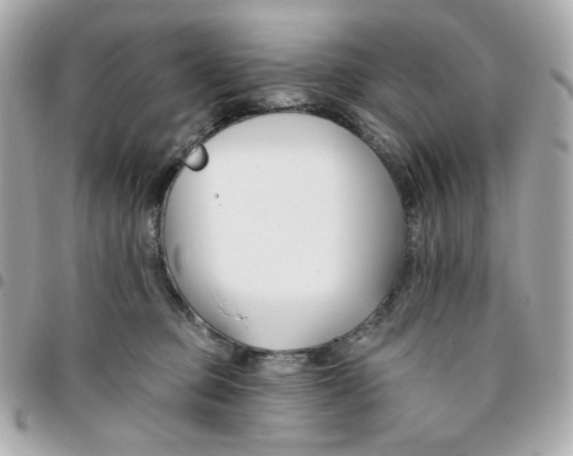 X0000096210373200802011326