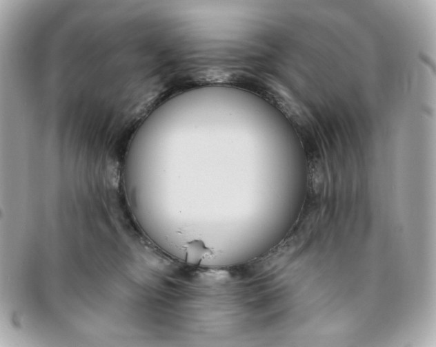 X0000096210374200802011326