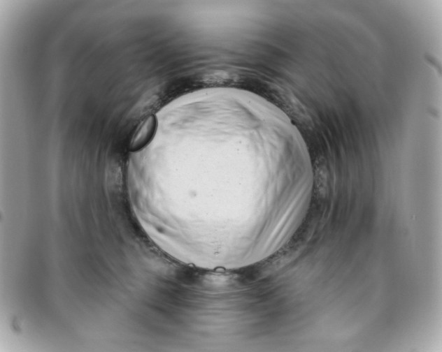 X0000096210375200802011326