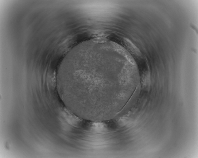 X0000096210376200802011326