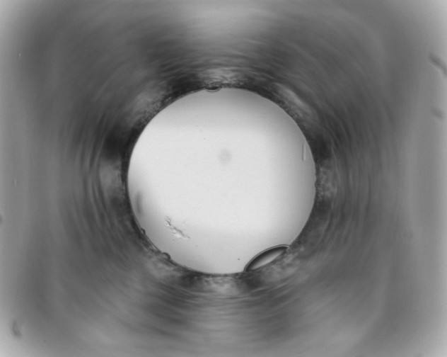 X0000096210377200802011326