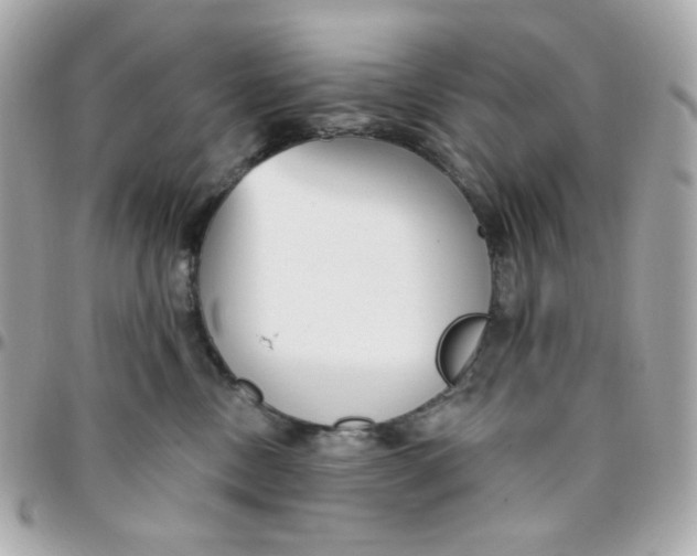 X0000096210378200802011326