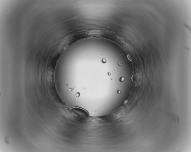 X0000096210379200802011326