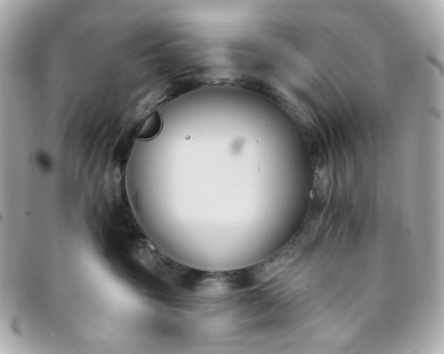 X0000096210381200802011326