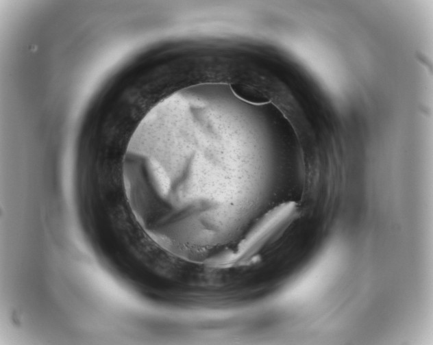 X0000096210383200802011326