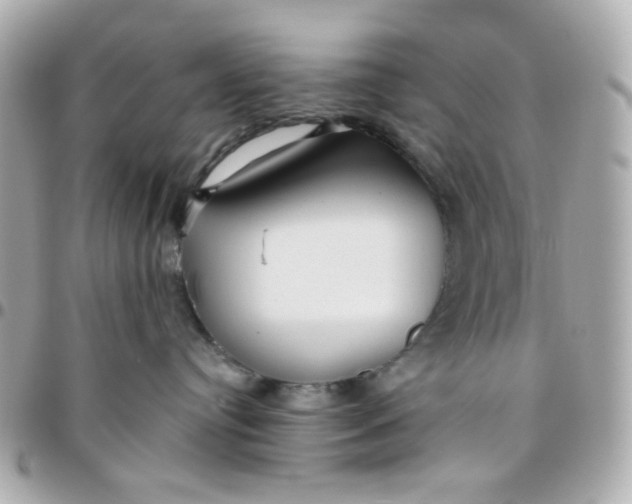 X0000096210384200802011326