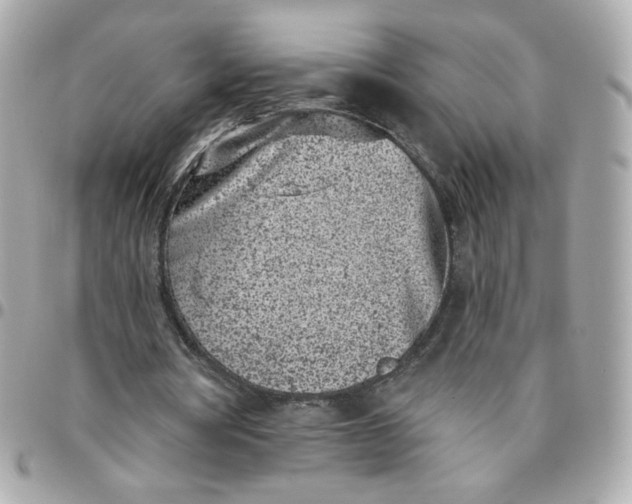 X0000096210386200802011326