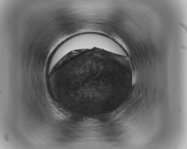 X0000096210387200802011326