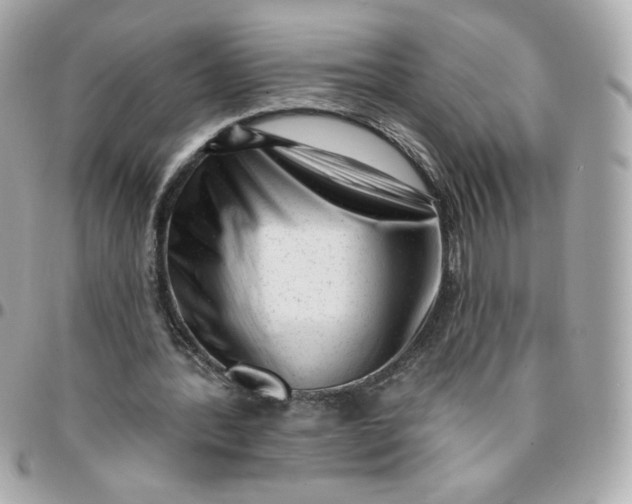 X0000096210388200802011326