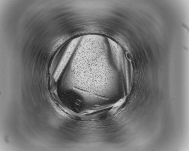 X0000096210389200802011326