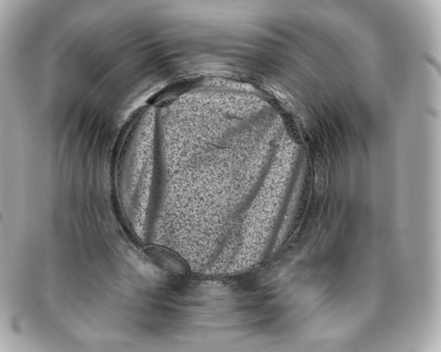 X0000096210390200802011325