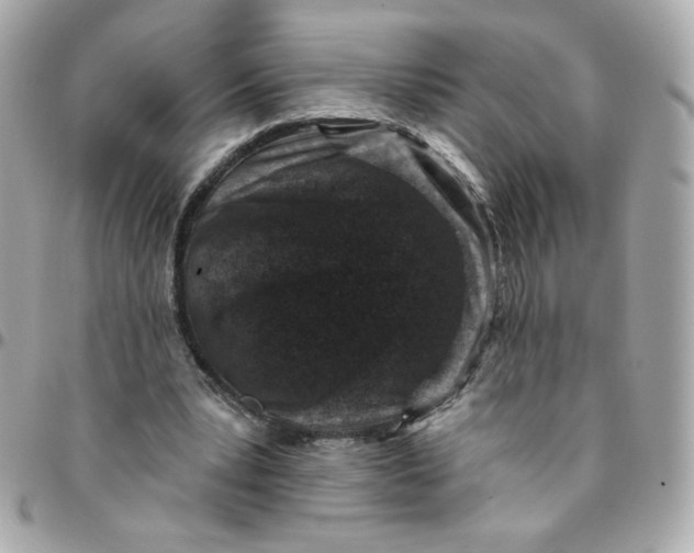 X0000096210391200802011325