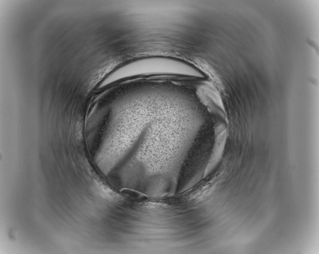 X0000096210393200802011325