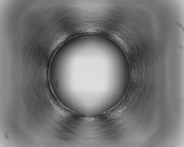 X0000096210394200802011325