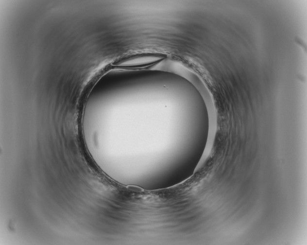 X0000096210395200802011325