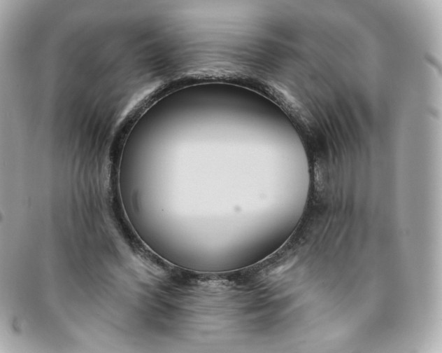 X0000096210396200802011325