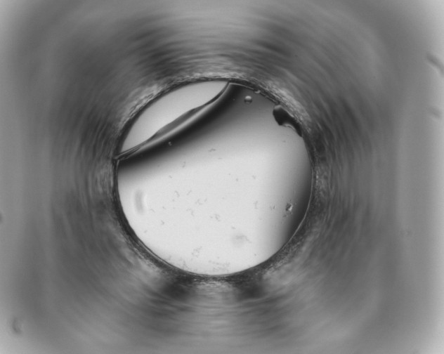 X0000096210397200802011325