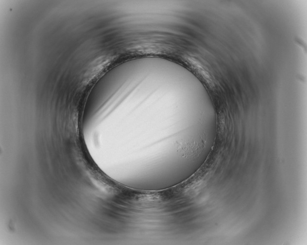 X0000096210398200802011325