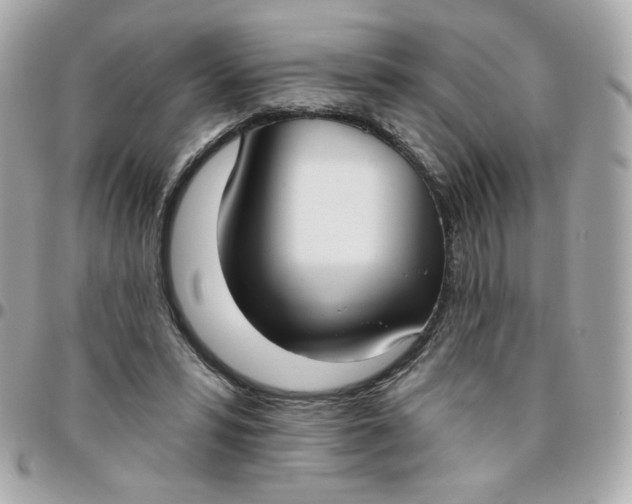 X0000096210399200802011325