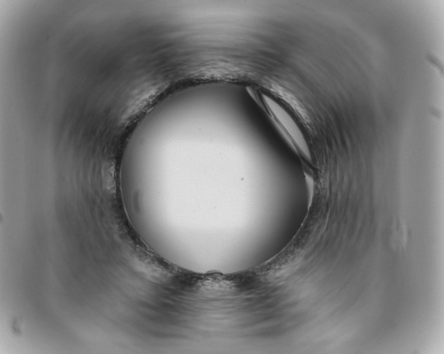 X0000096210403200802011325