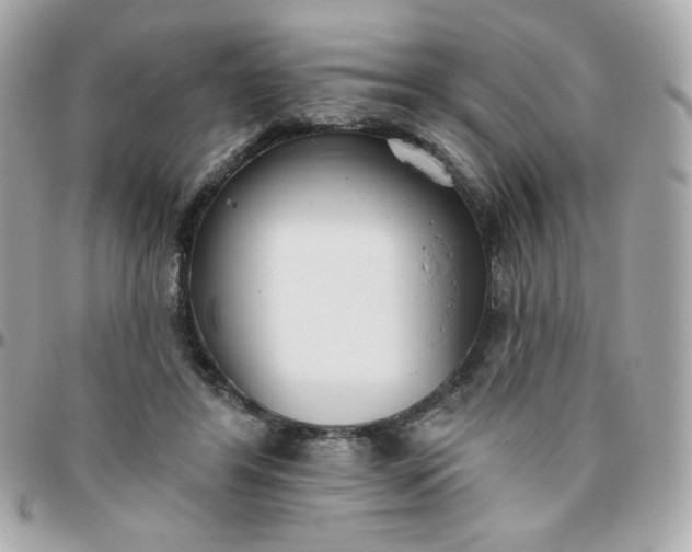 X0000096210404200802011325