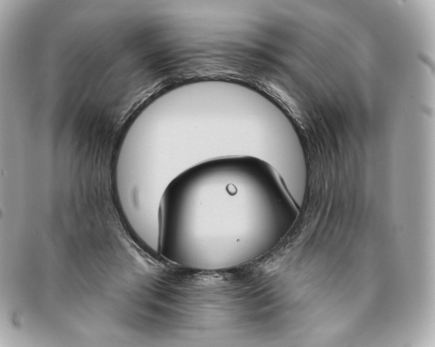 X0000096210405200802011325