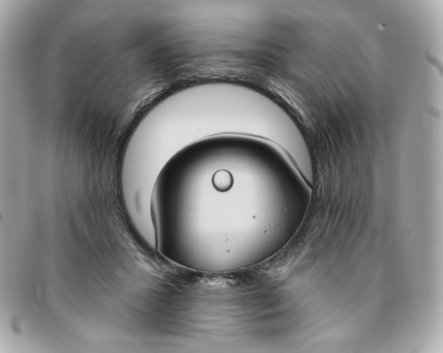 X0000096210407200802011325