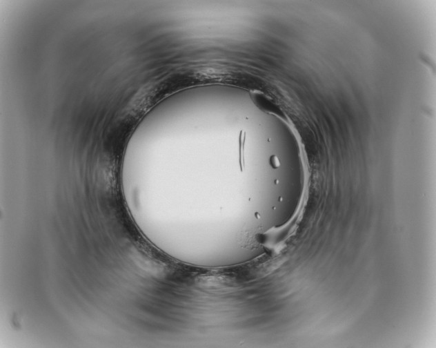 X0000096210408200802011325