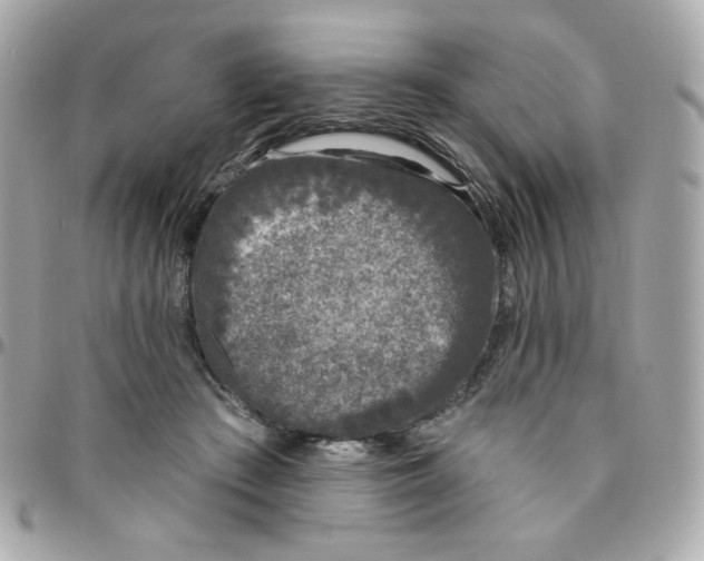 X0000096210409200802011325