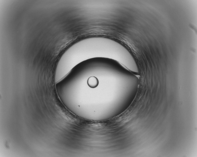 X0000096210411200802011325