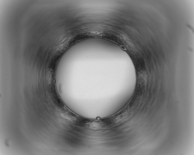 X0000096210412200802011325