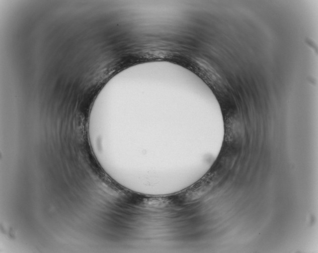 X0000096210414200802011325