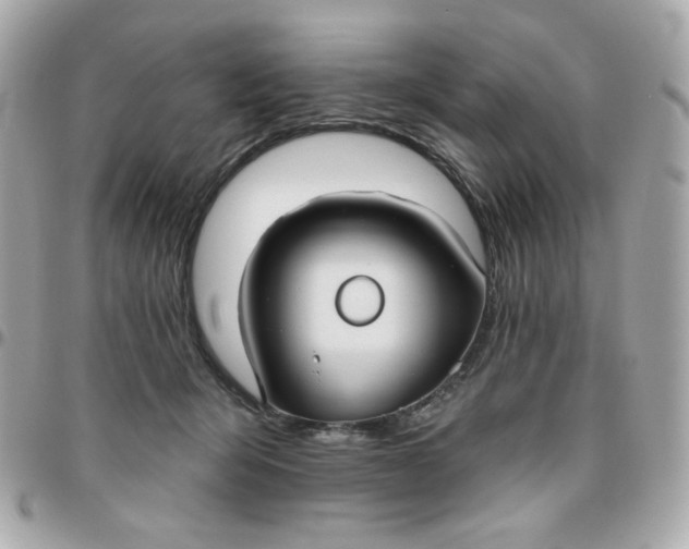 X0000096210415200802011325