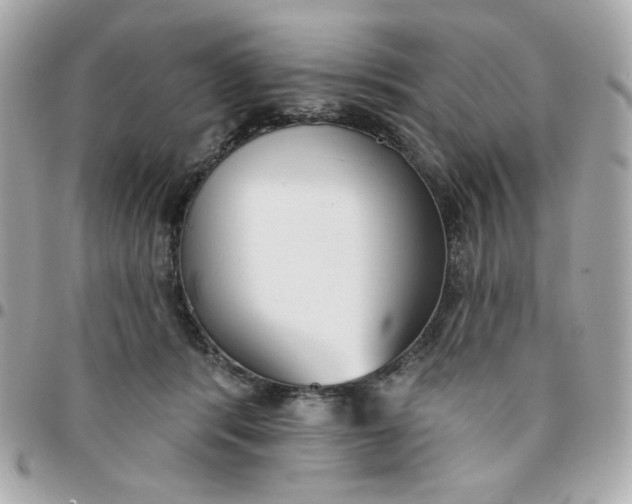 X0000096210416200802011325