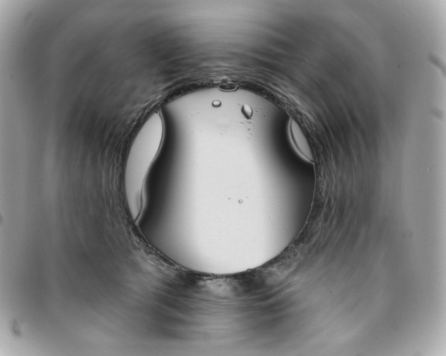 X0000096210417200802011325