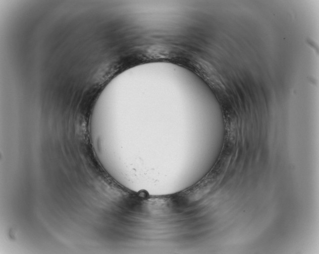 X0000096210418200802011325