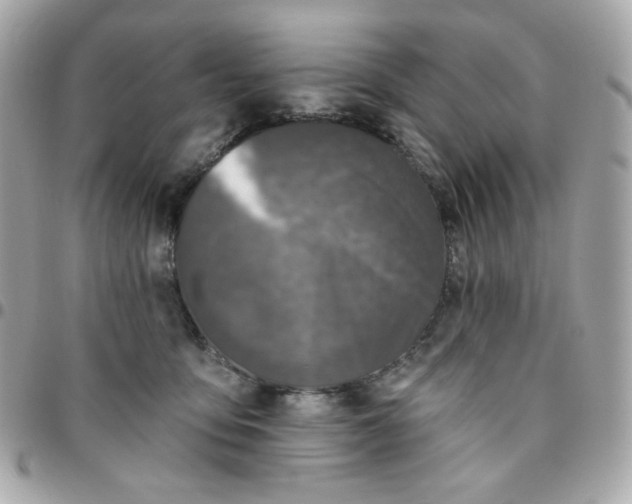 X0000096210419200802011325