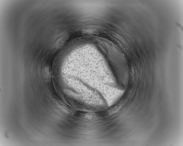 X0000096210420200802011325