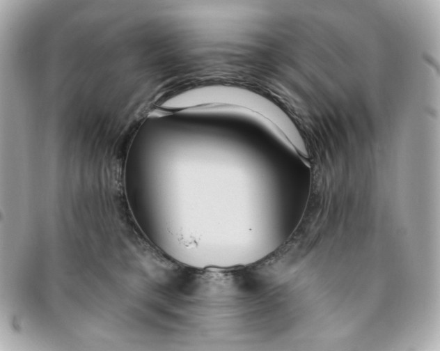 X0000096210421200802011325