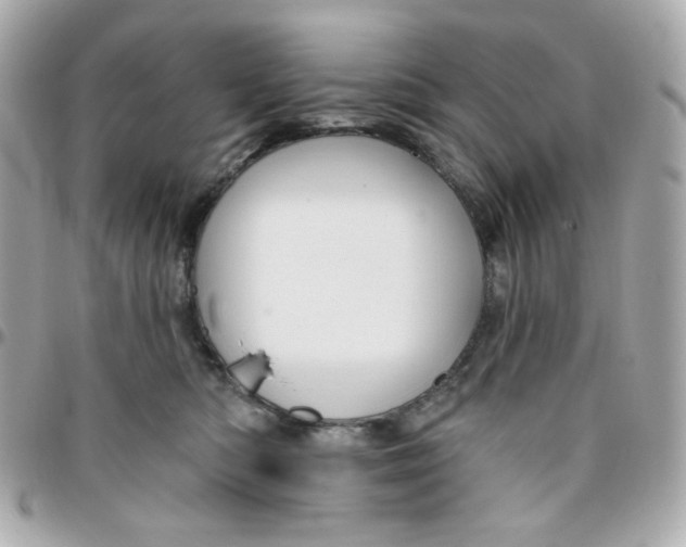 X0000096210422200802011325