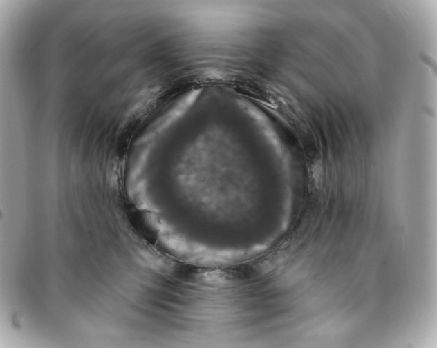 X0000096210423200802011325