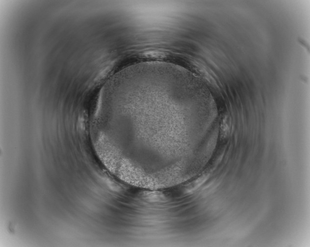 X0000096210424200802011325