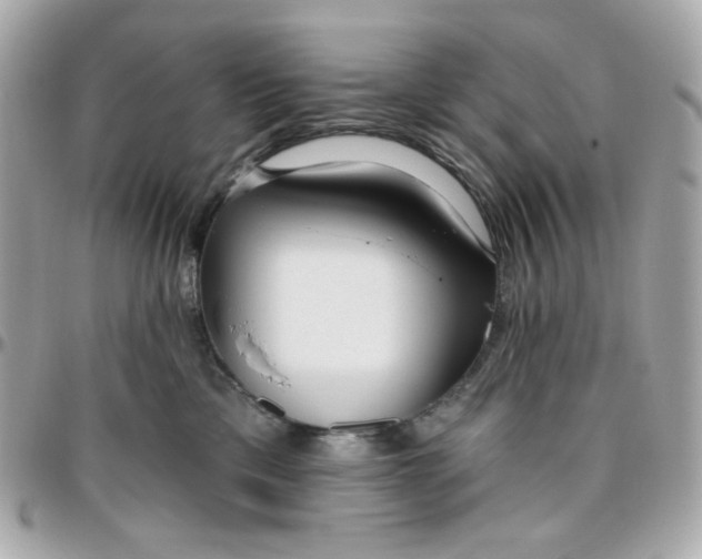 X0000096210425200802011325