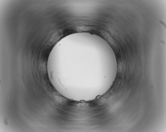 X0000096210426200802011325