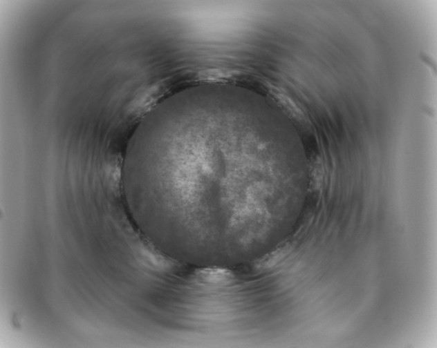 X0000096210427200802011325